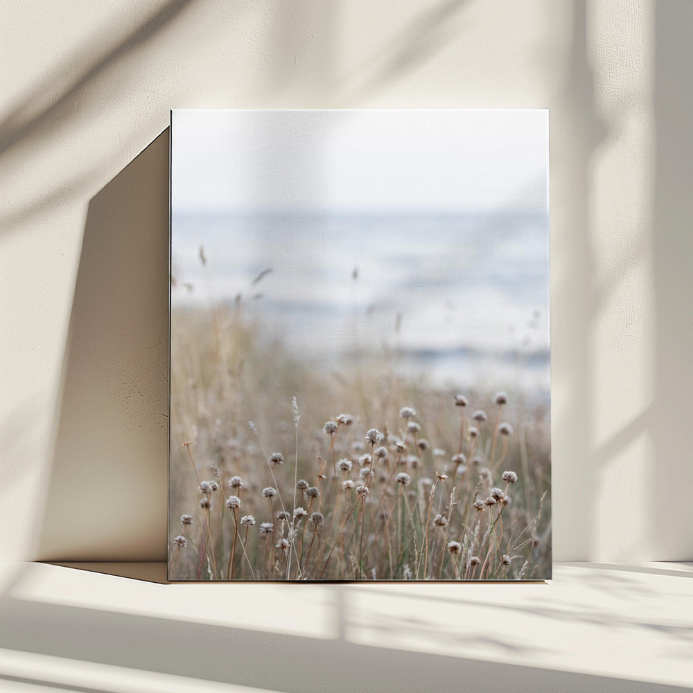 Coast Landscapes 4 | Canvas