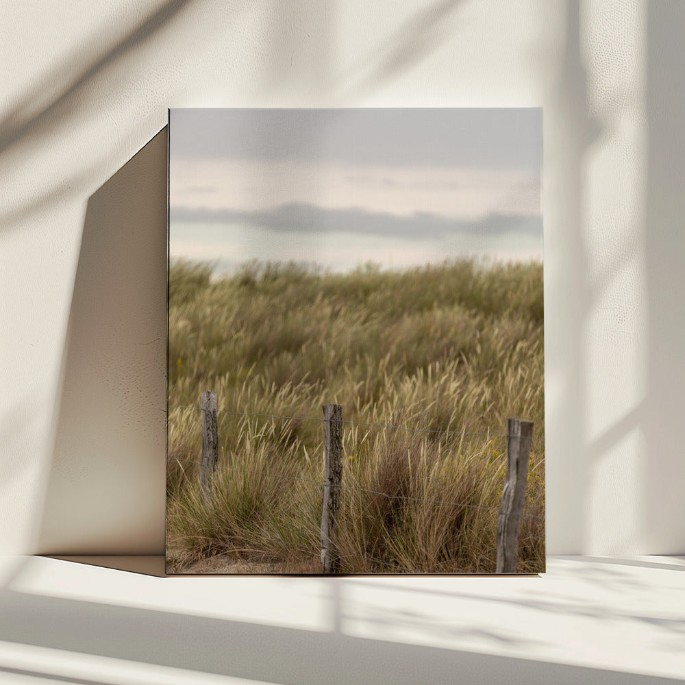 Coast Landscapes 1 | Canvas