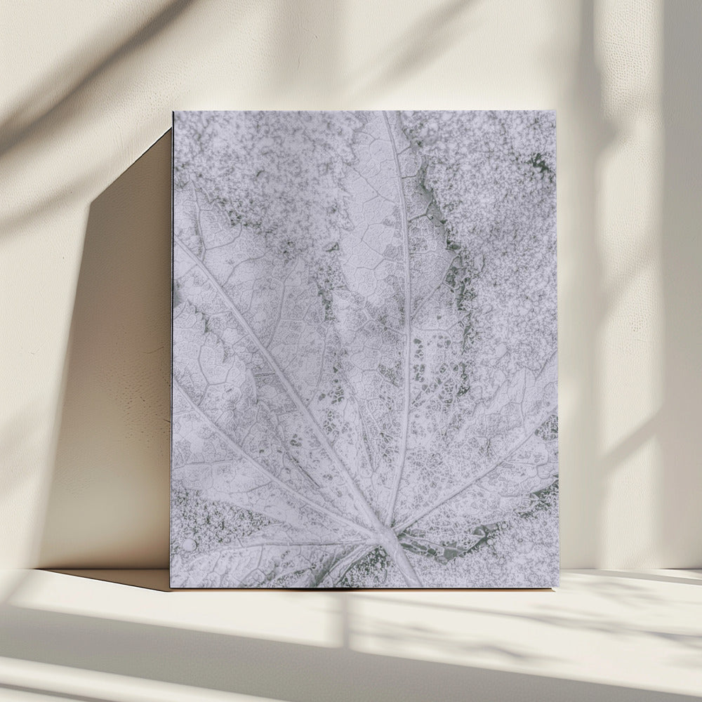Return to Earth | Canvas