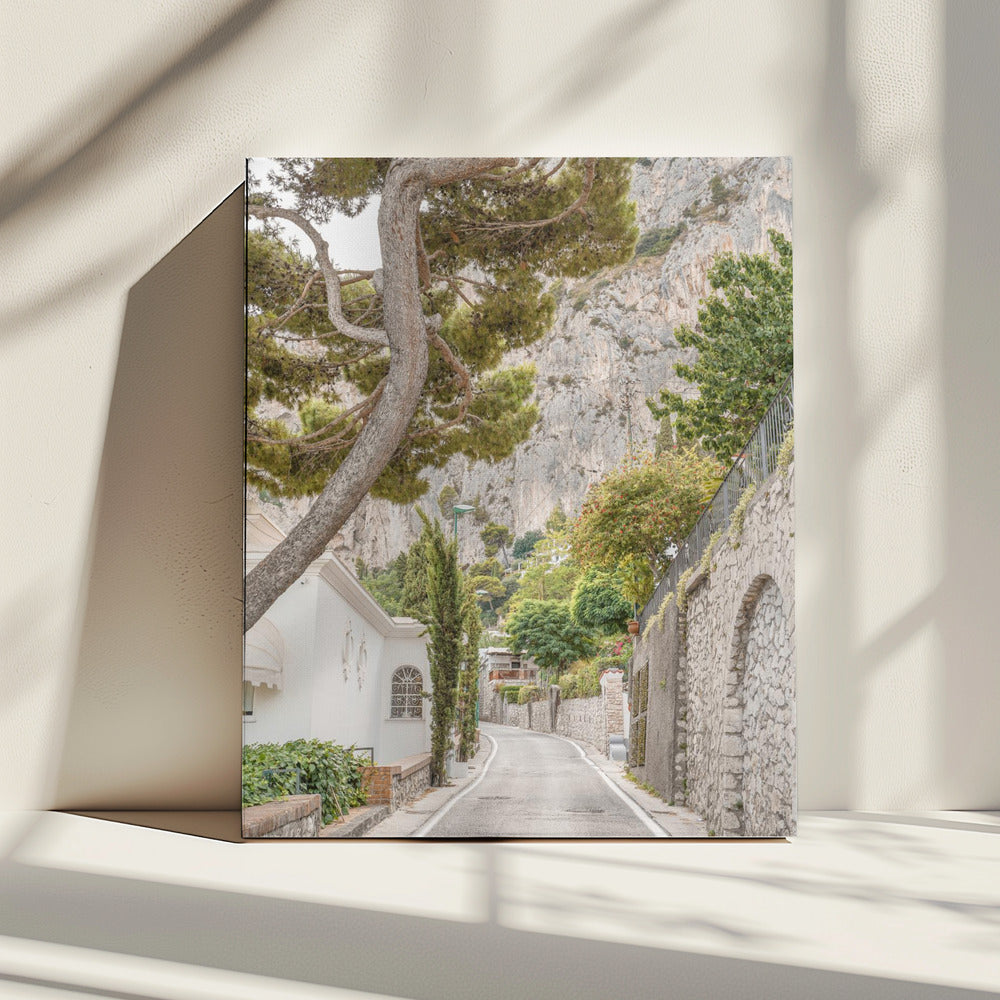 Streets of Capri | Canvas