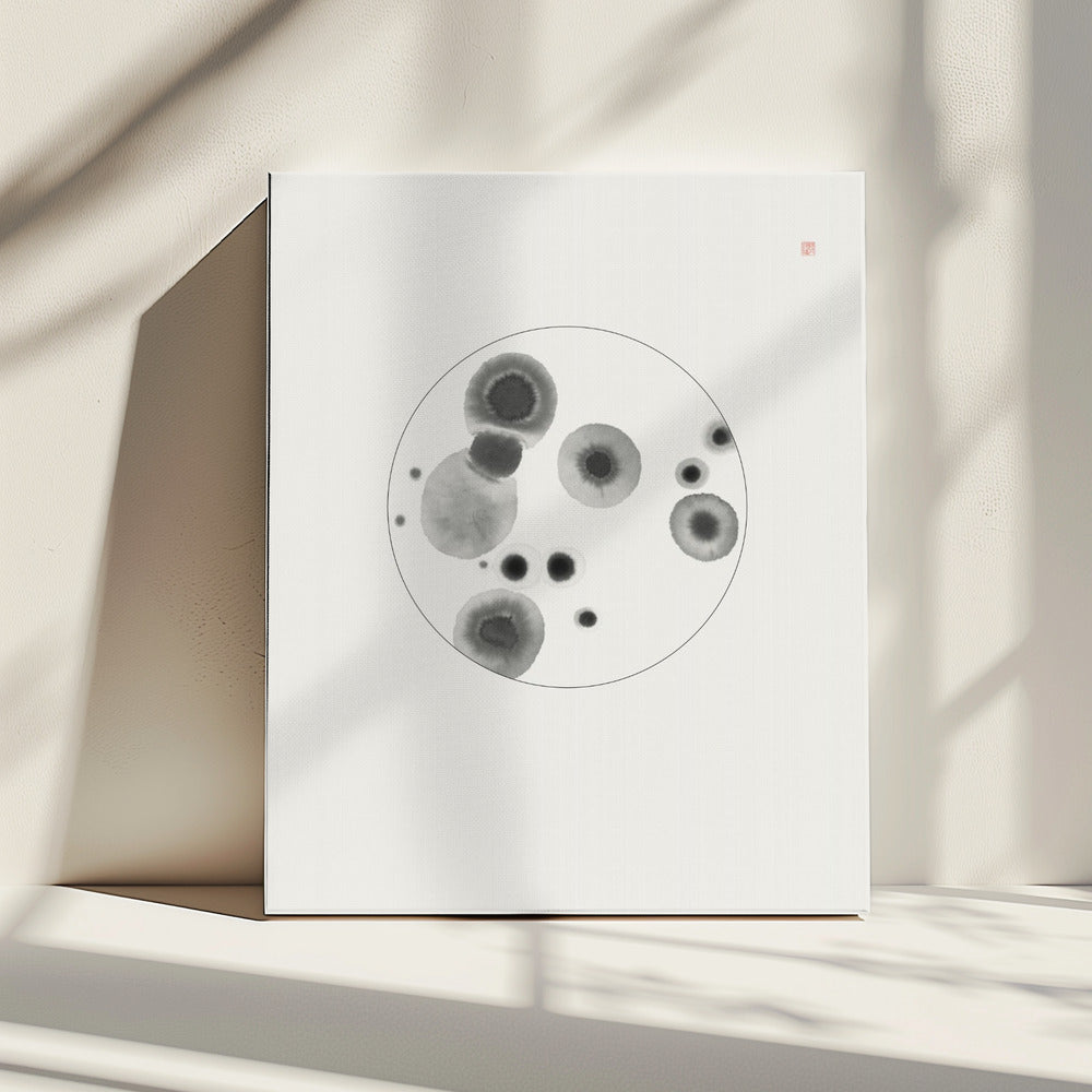 Petri Dish | Canvas