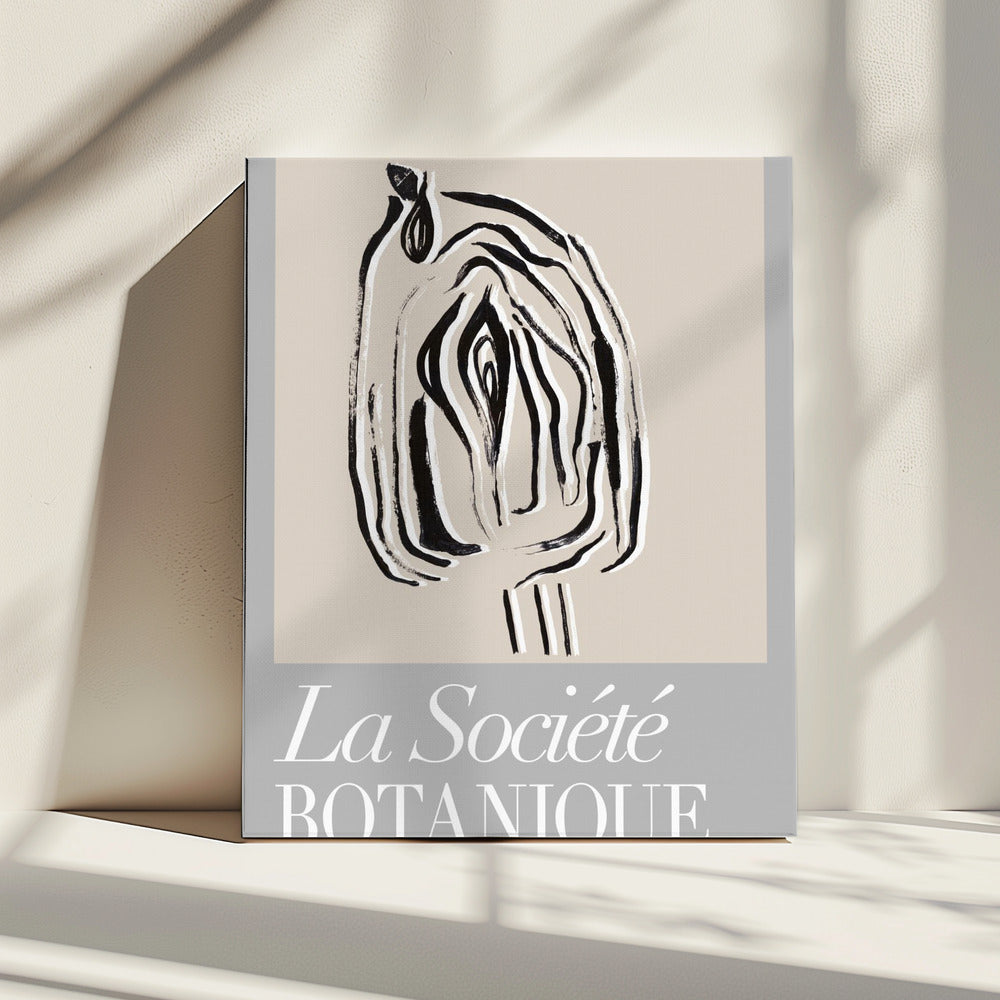 La Société Botanique Seed Pod | Canvas