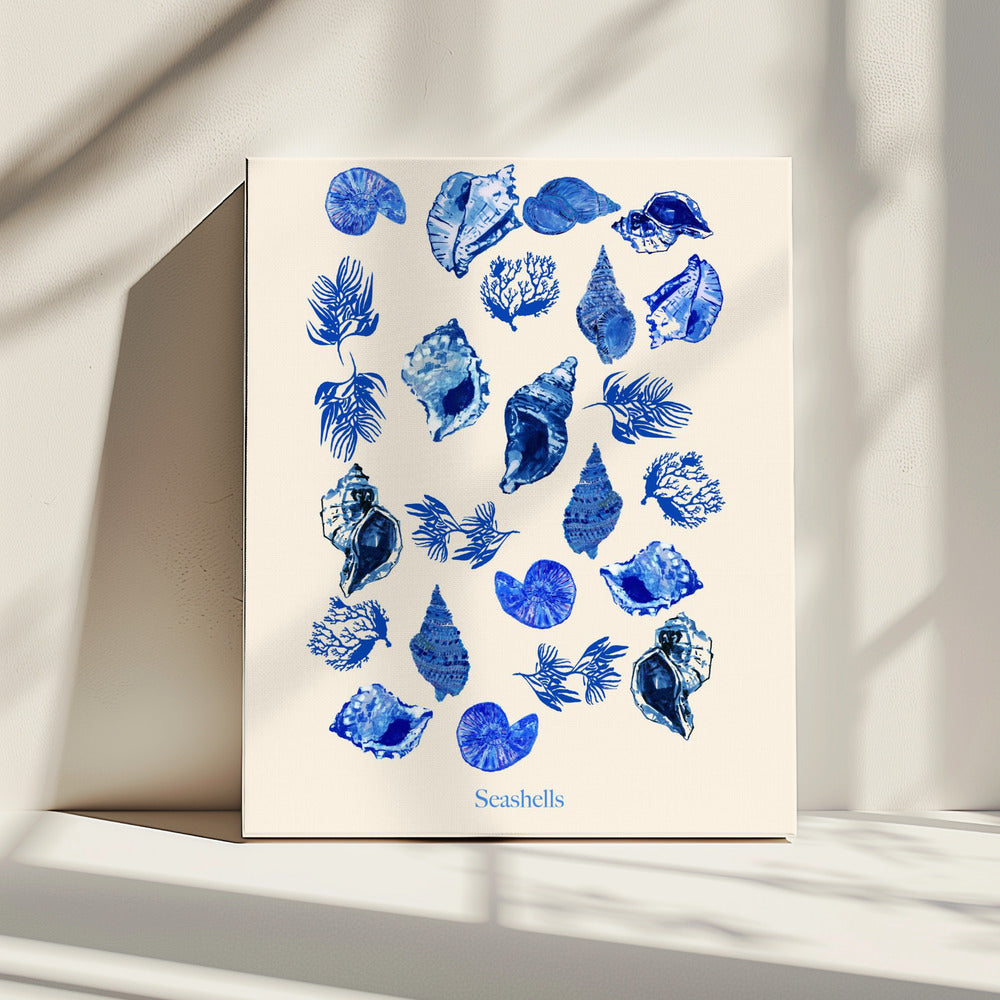 Seashells Poster | Canvas