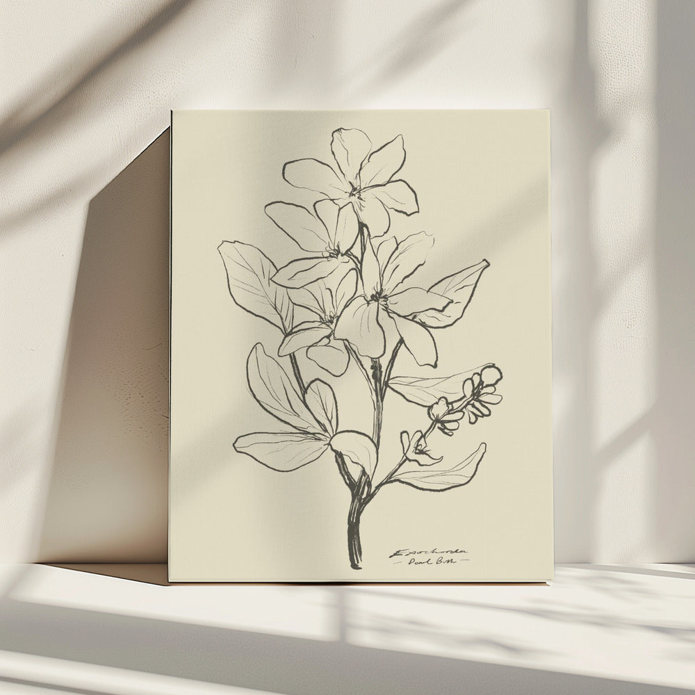 Floral 1 | Canvas