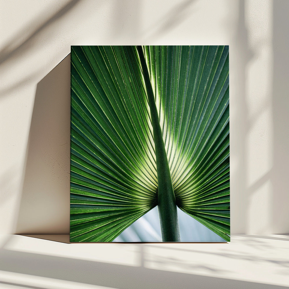 Leaves 12 | Canvas