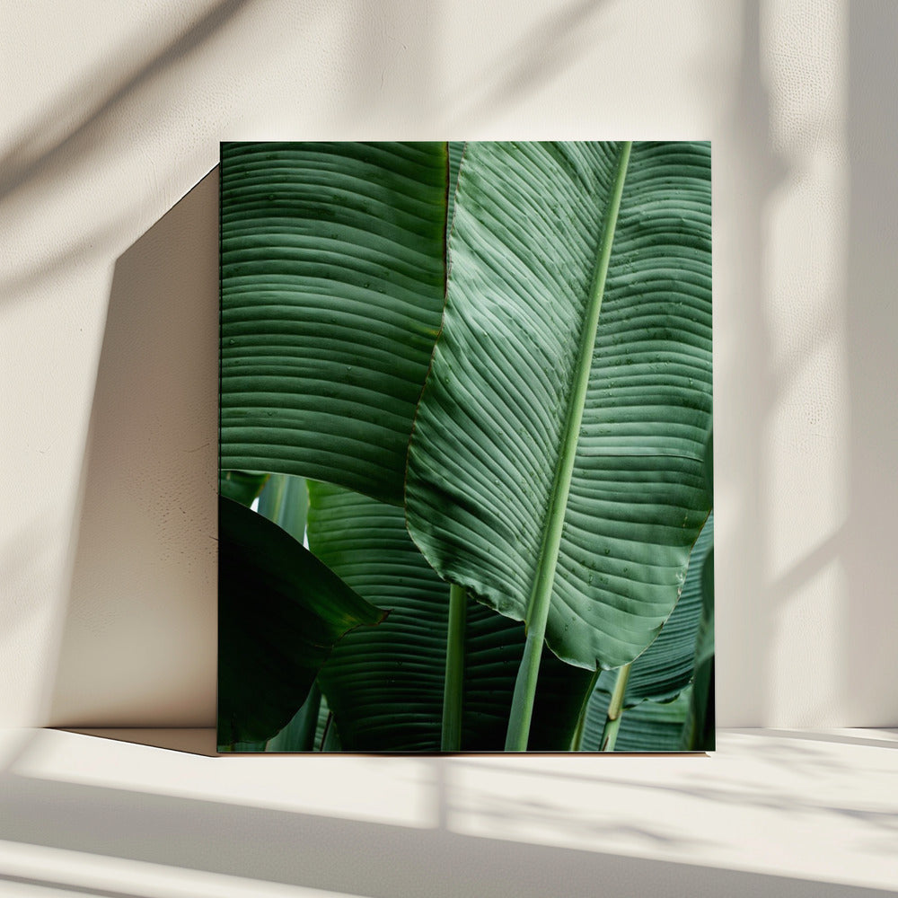 Leaves 14 | Canvas