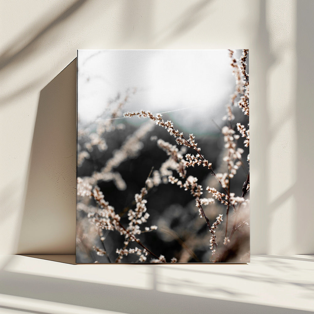 Unknown 10 | Canvas