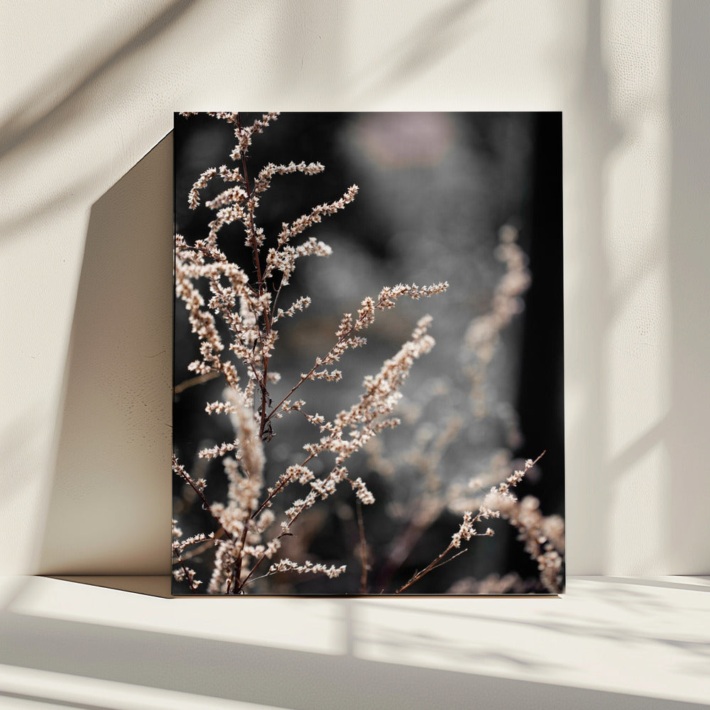 Unknown 9 | Canvas