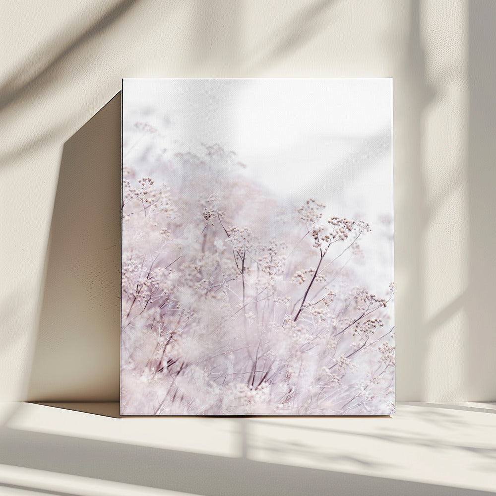 Unknown 13 | Canvas