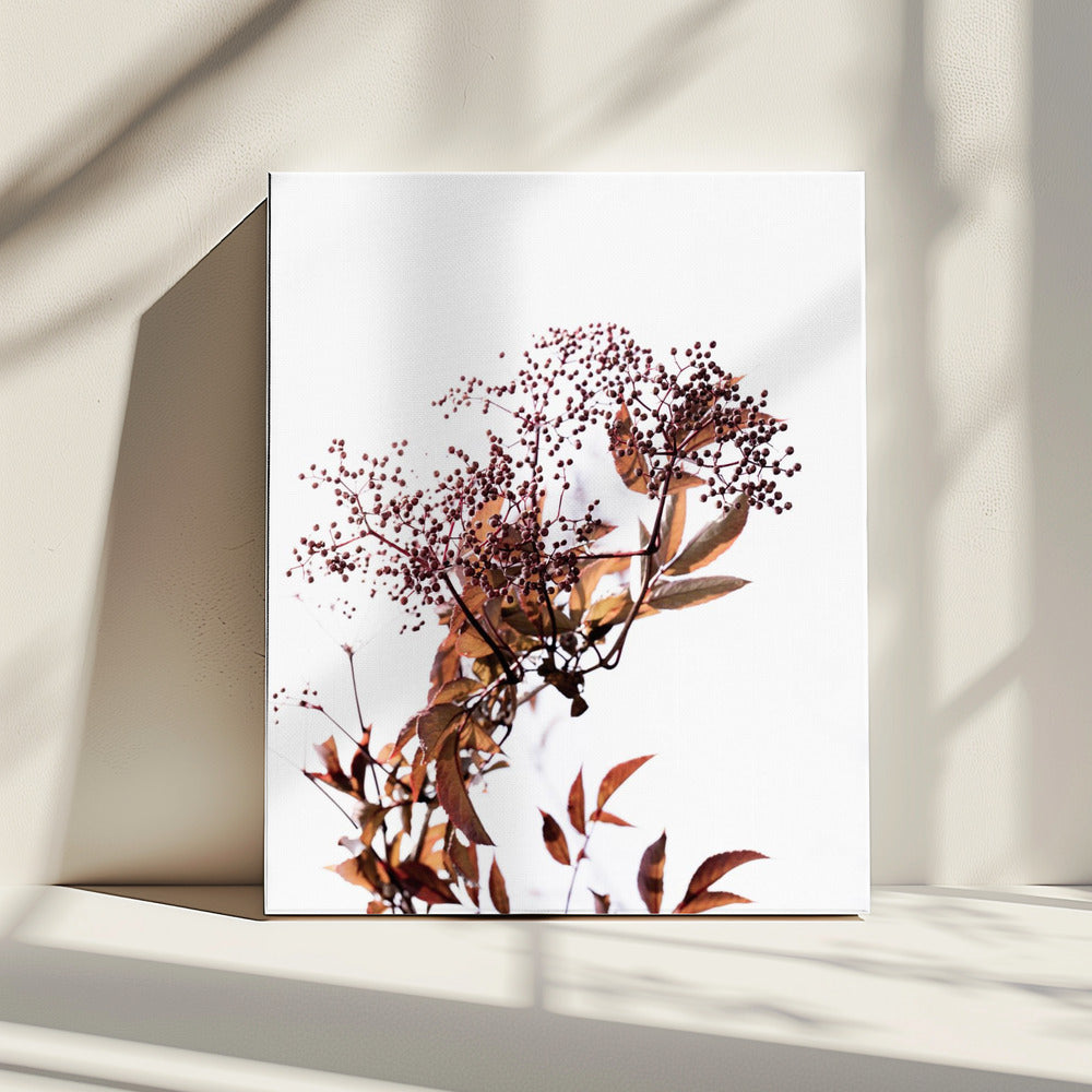 Unknown 14 | Canvas
