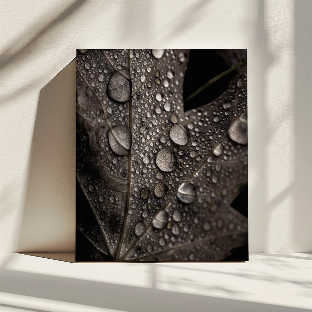 Rainy Fall | Canvas