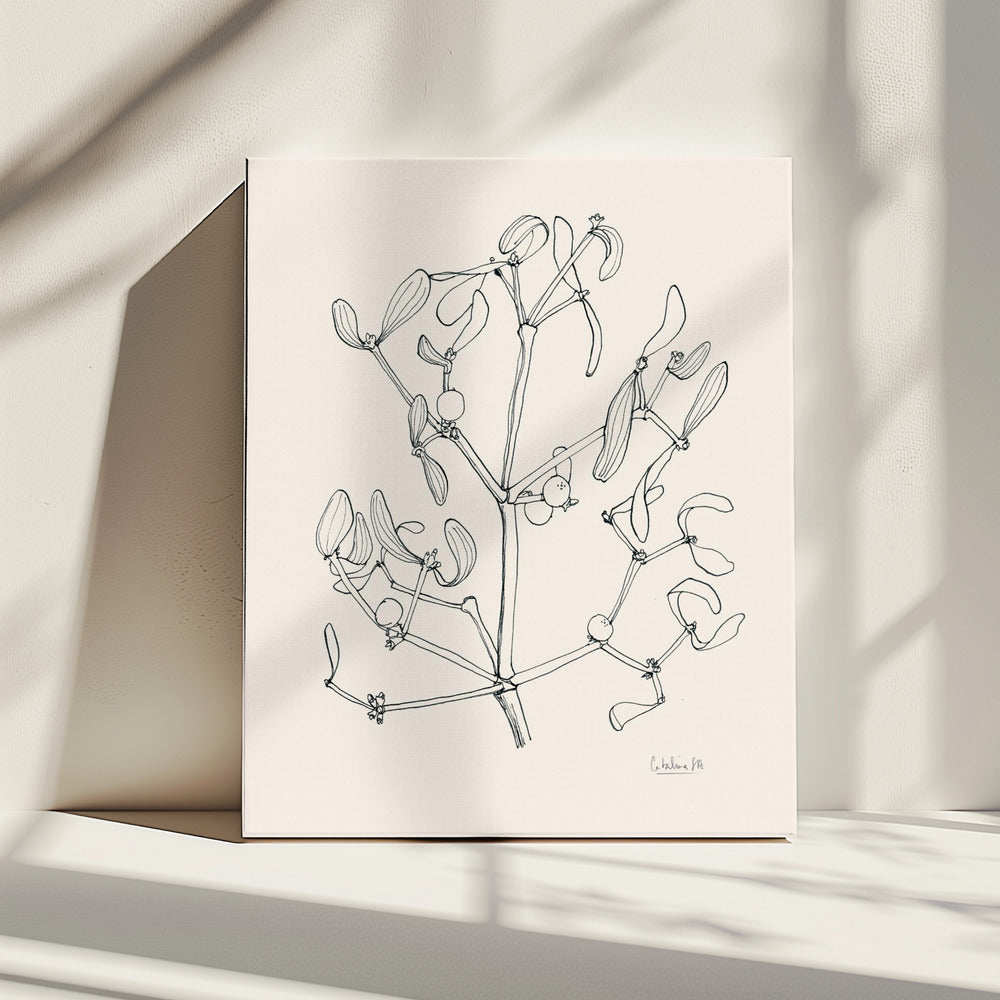 Misteltoe ink drawing | Canvas