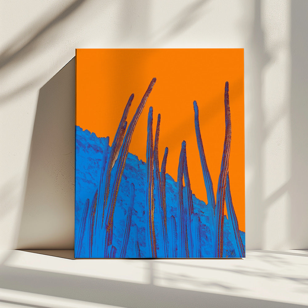 Antenas | Canvas