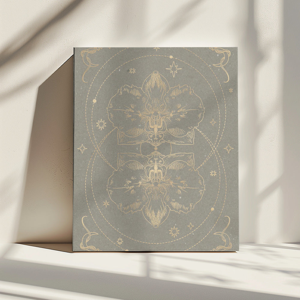 The mystical orchid | Canvas