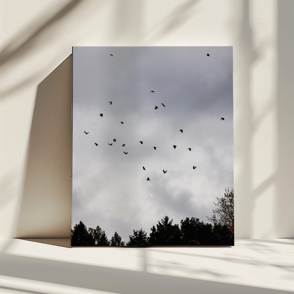 Birds and Clouds 1 | Canvas