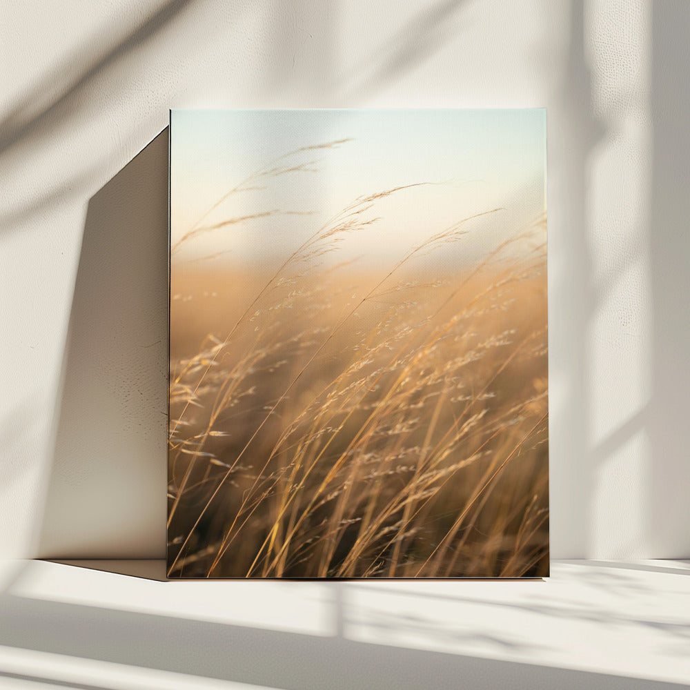 Golden Prairie Grass | Canvas