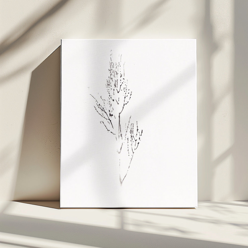 Plants | Canvas