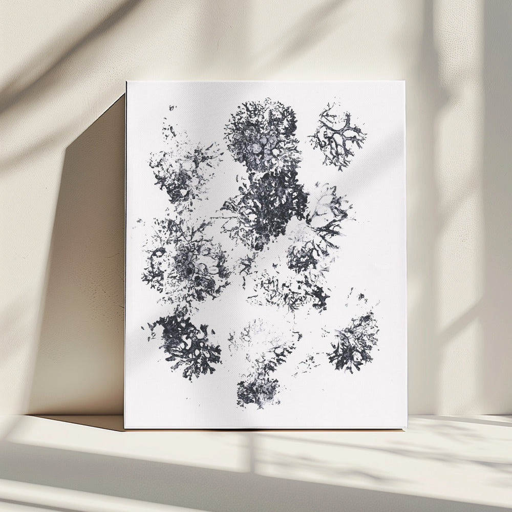 Plants II | Canvas
