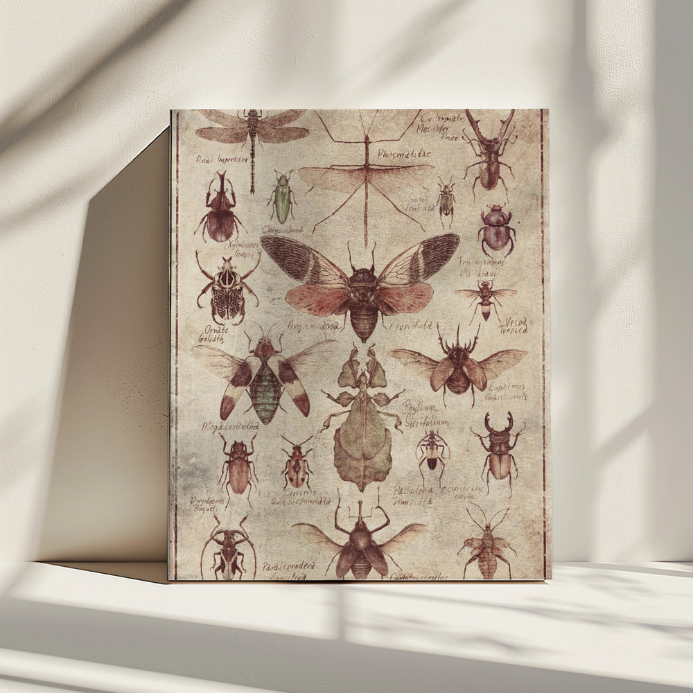 Vintage-style Insects | Canvas