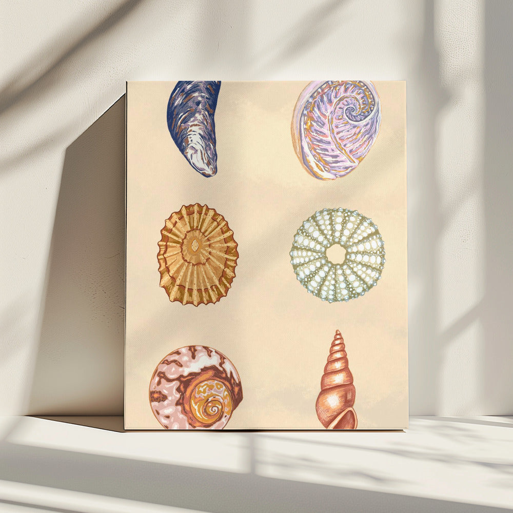 Treasures of the Tide | Canvas
