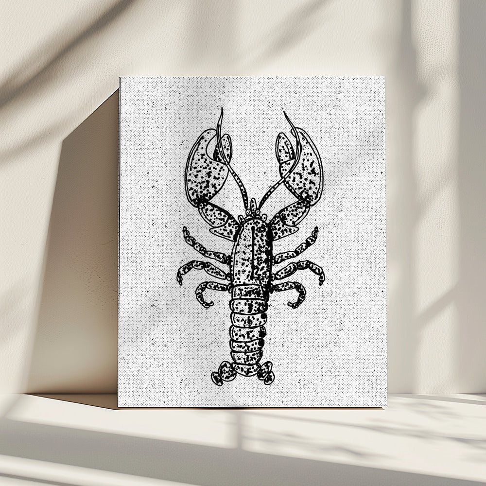Lobster Ink Print | Canvas