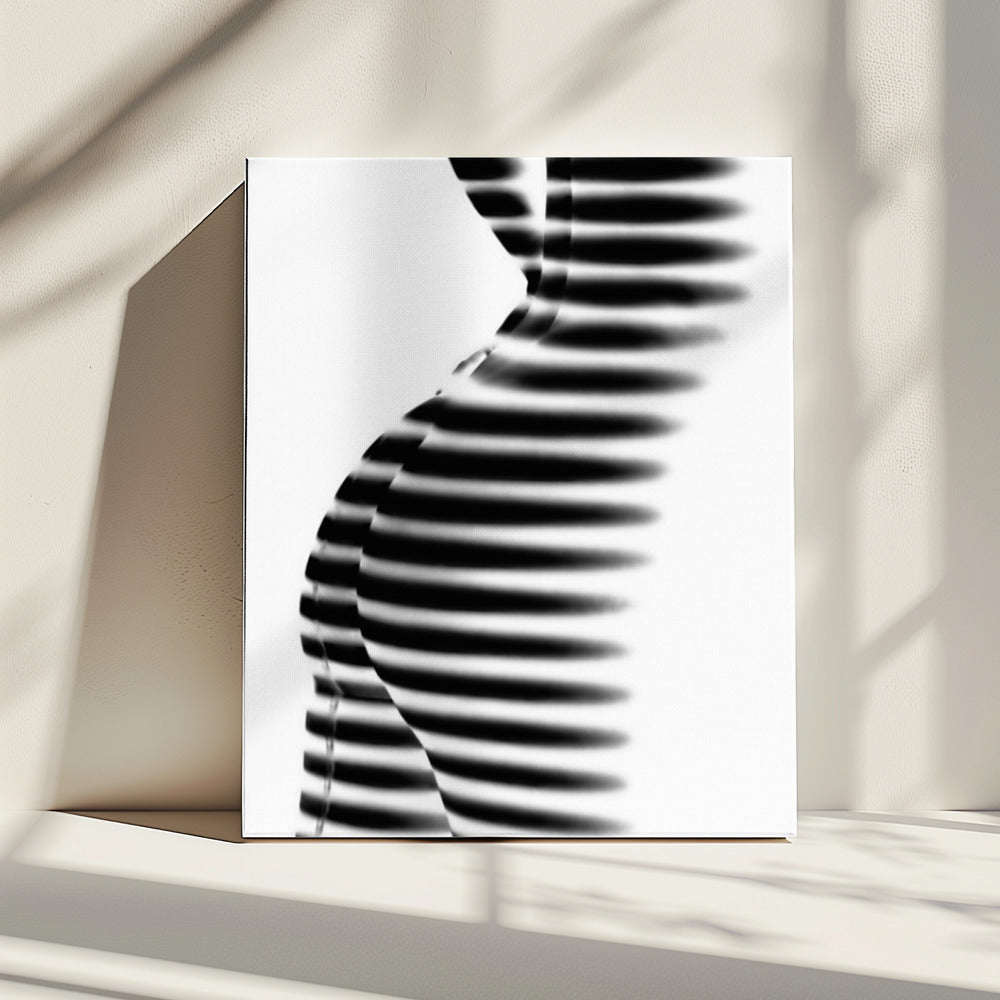 Zebra | Canvas