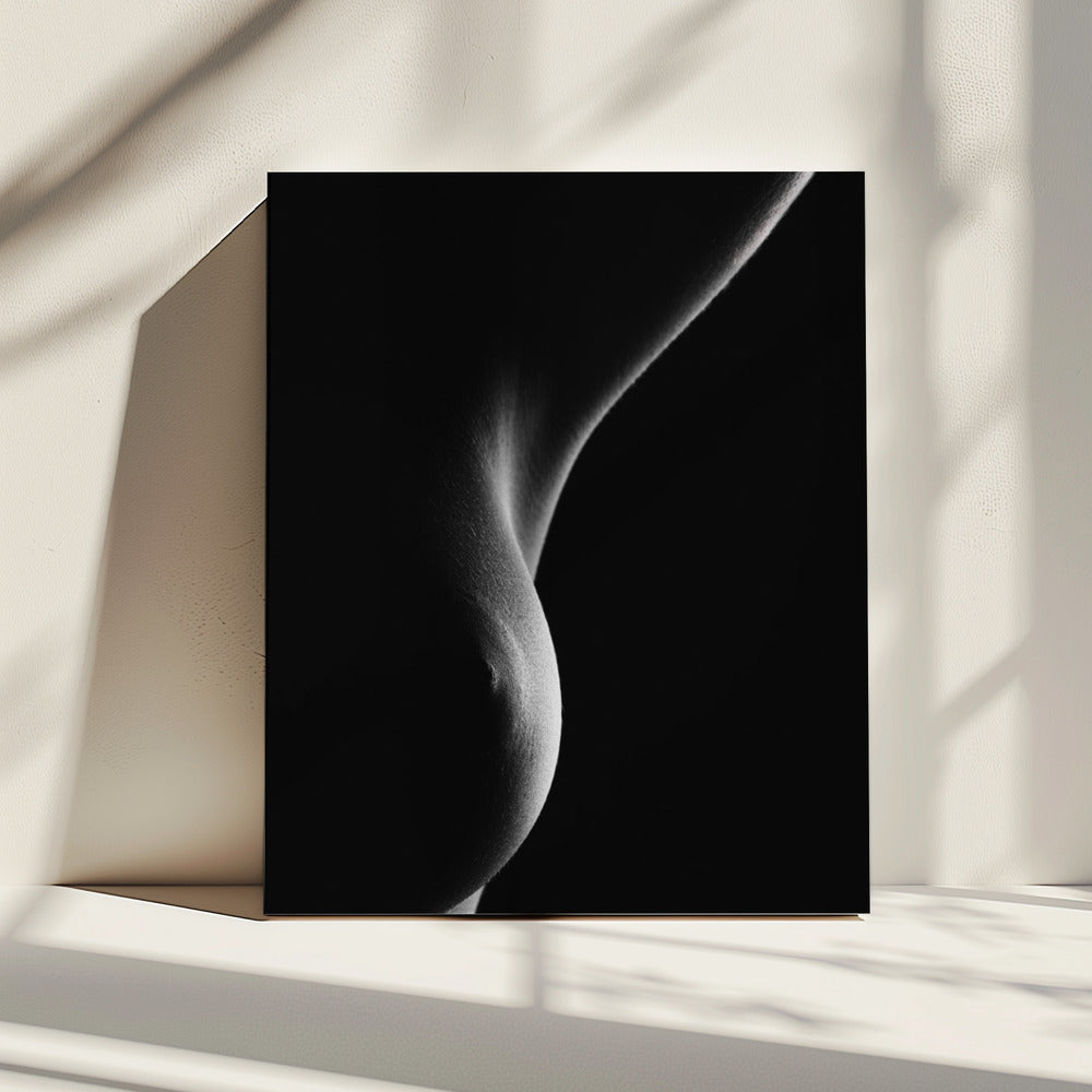 Nude detail | Canvas