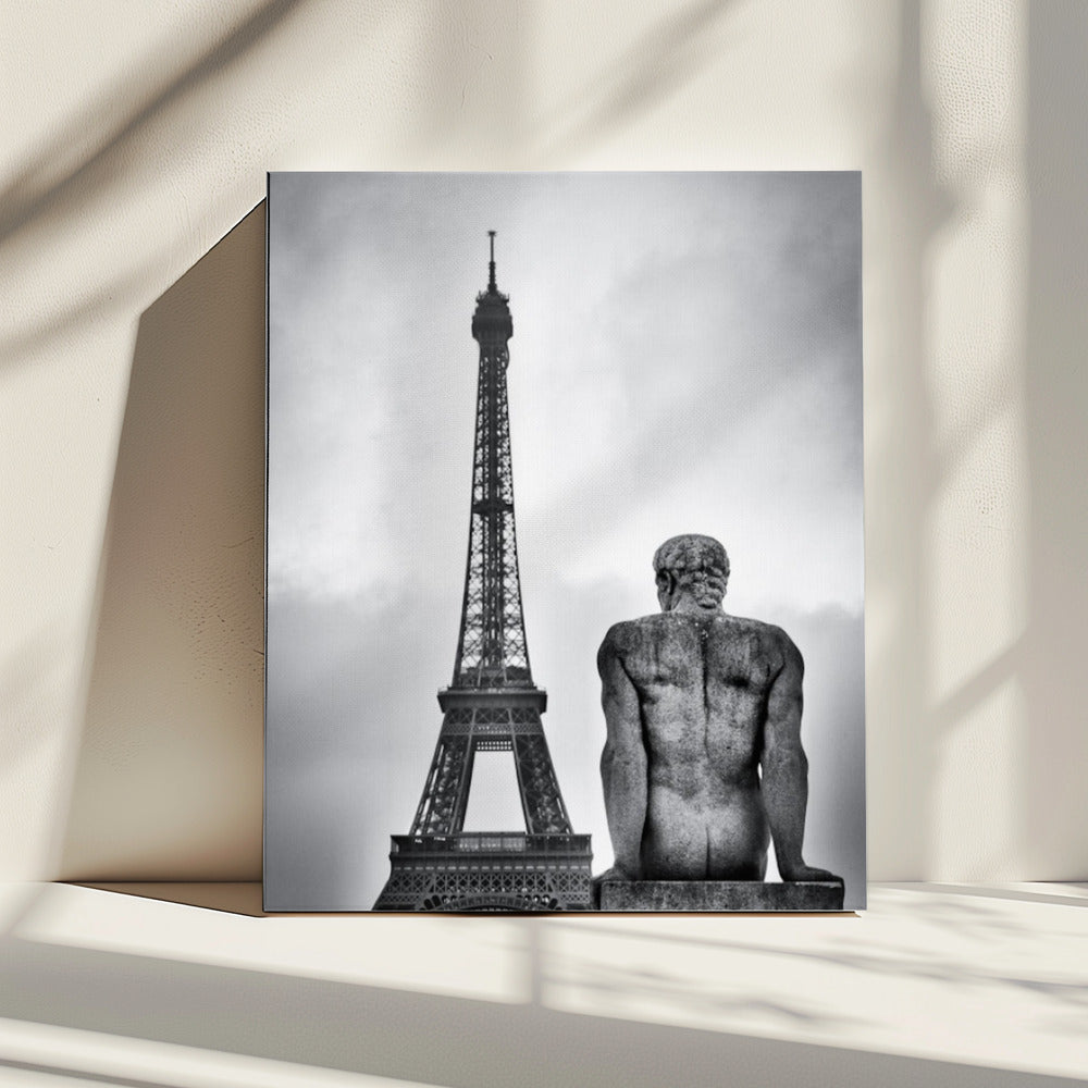 Steel lady | Canvas