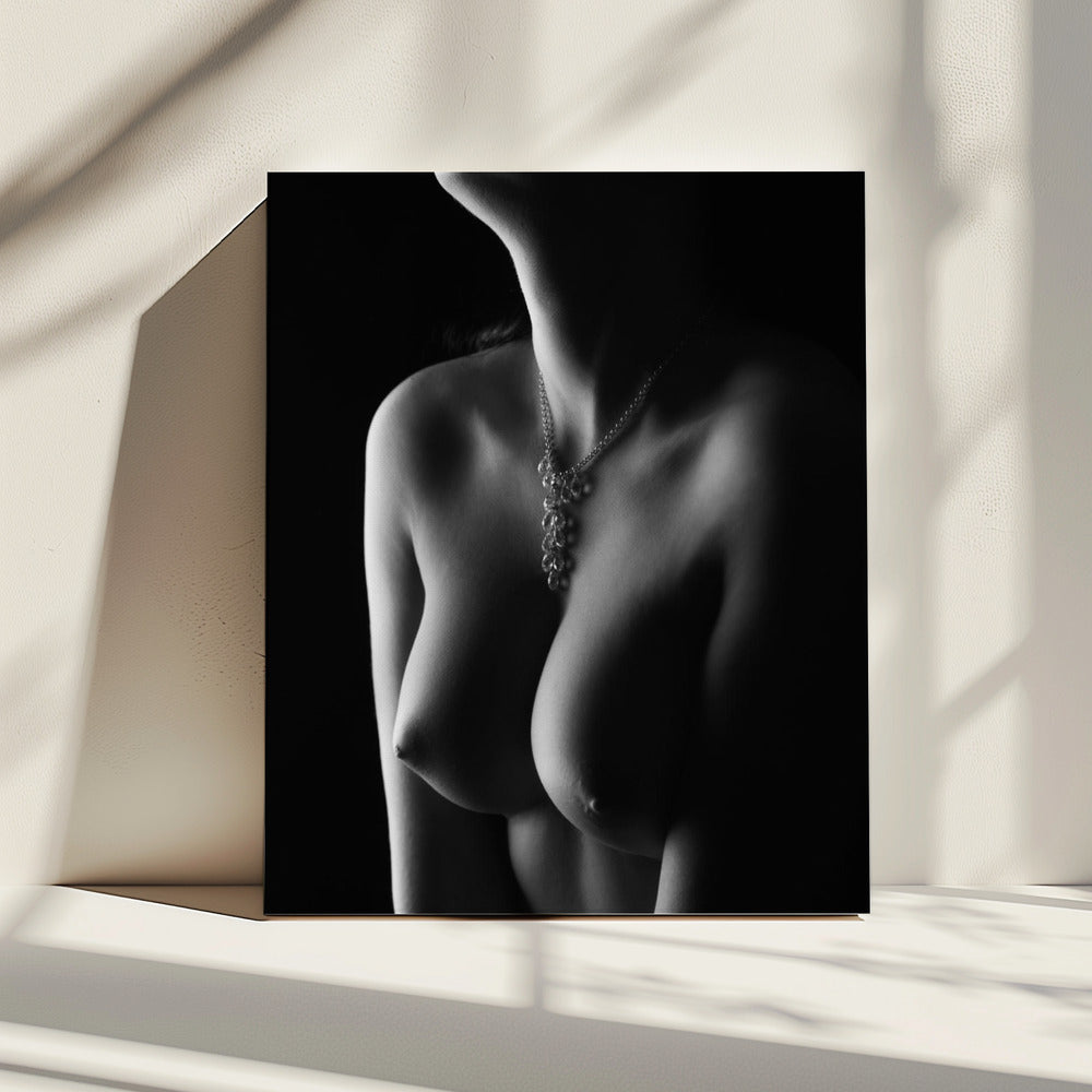 Nude curves | Canvas