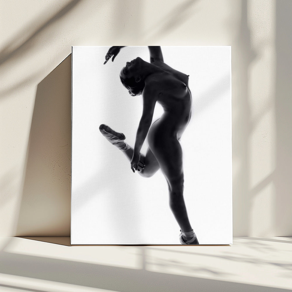 Fine Art Dance ... | Canvas