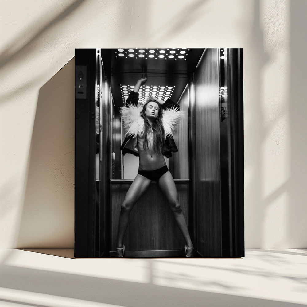 Elevator | Canvas