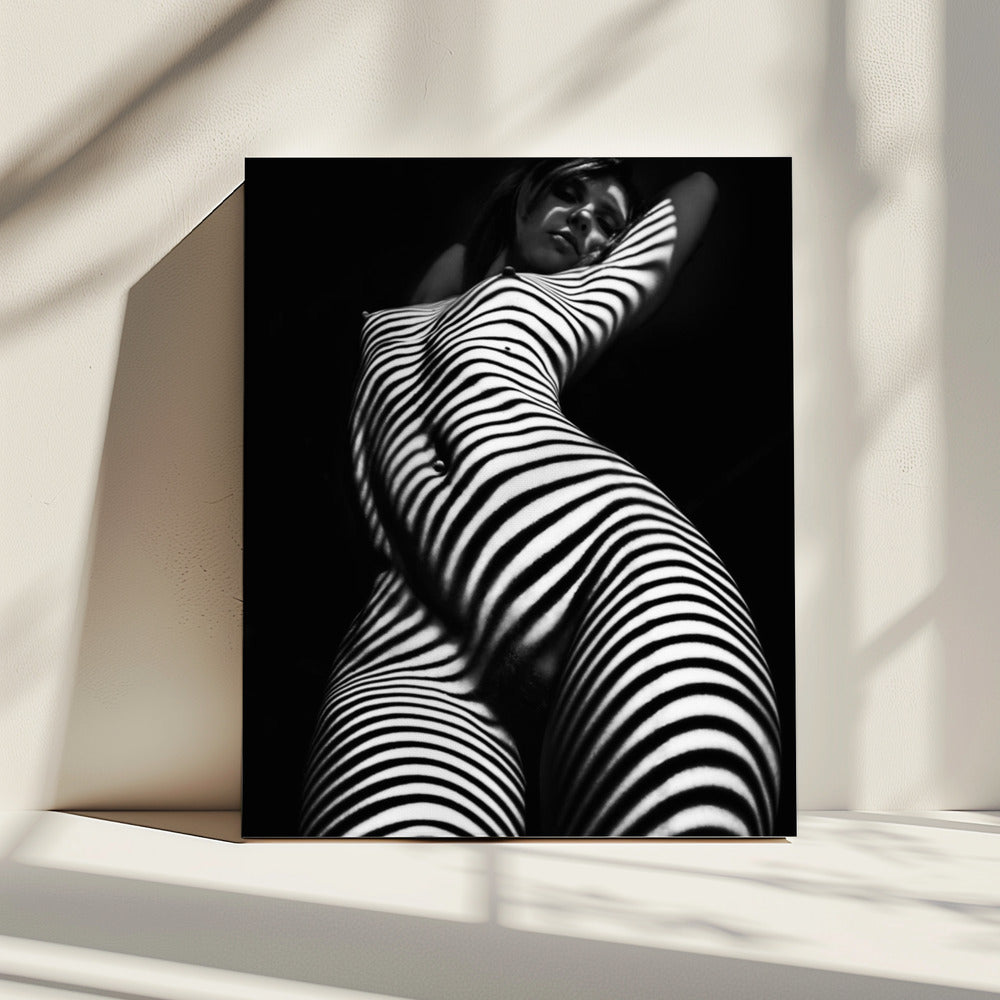 butterfly | Canvas