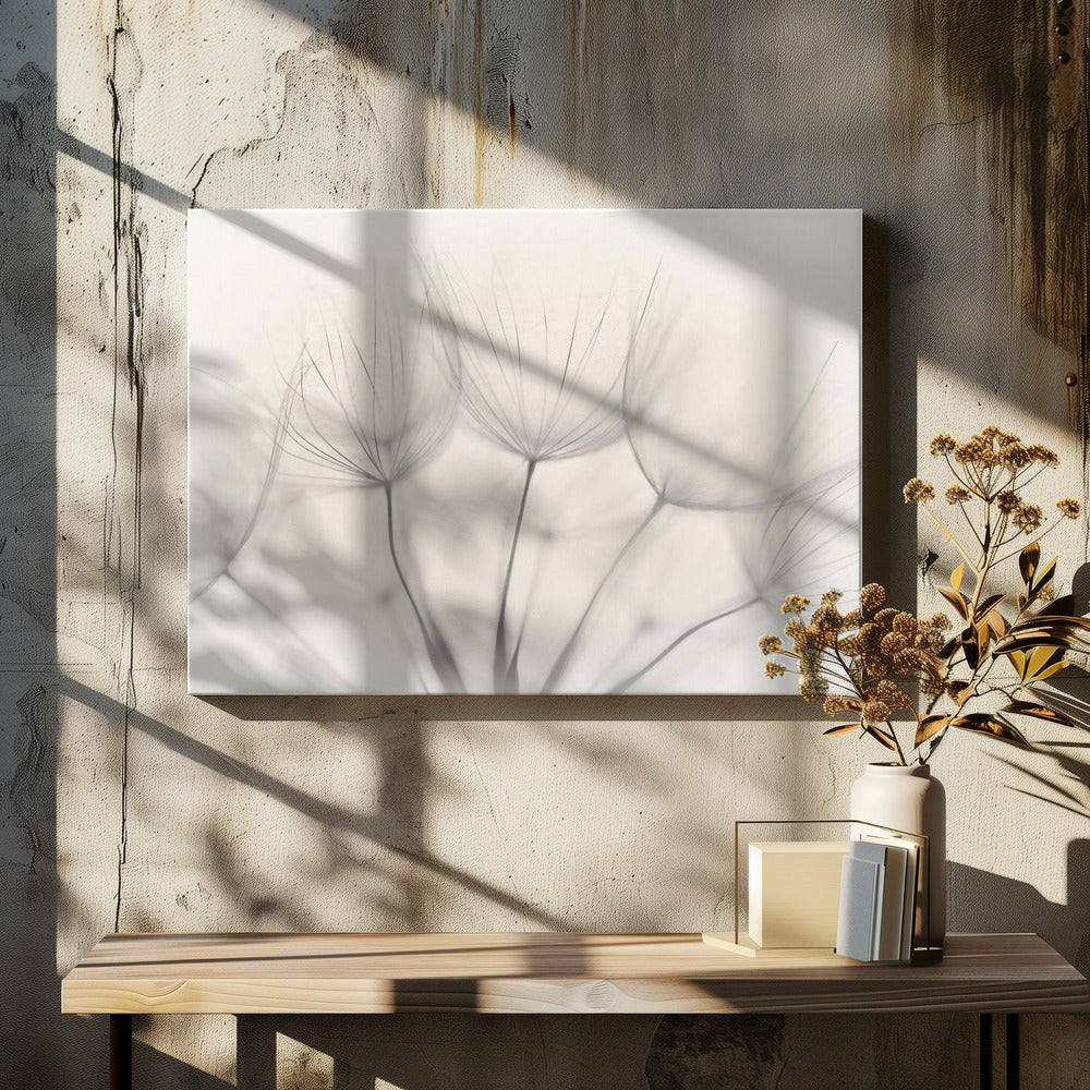 No title | Canvas