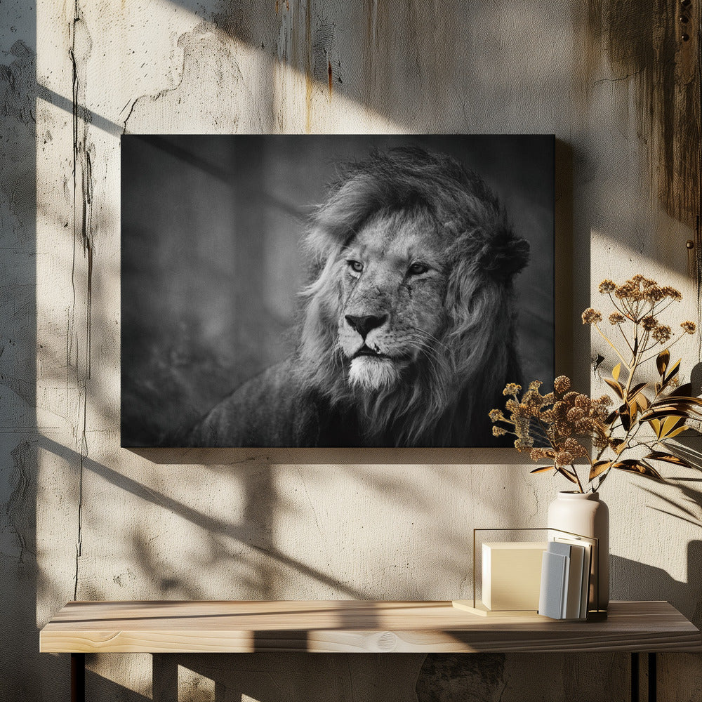 Regal | Canvas