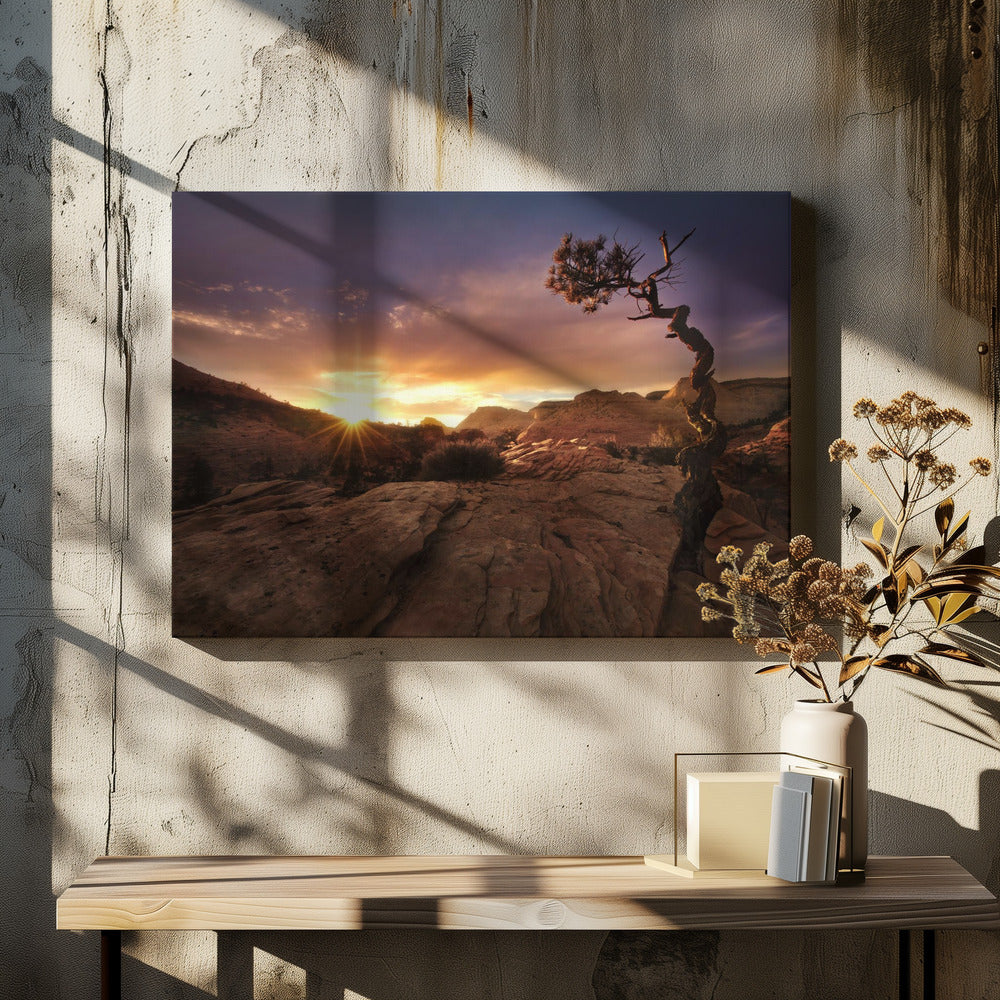 Distorted | Canvas