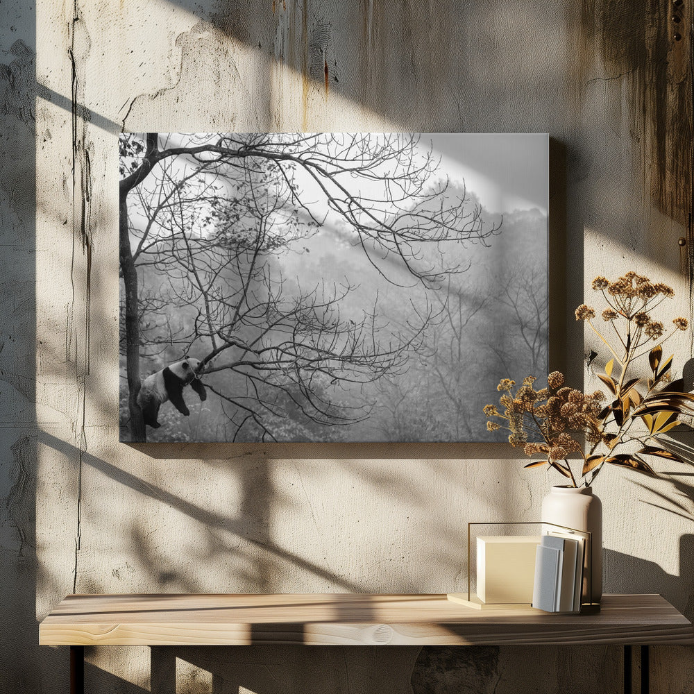 Relax | Canvas