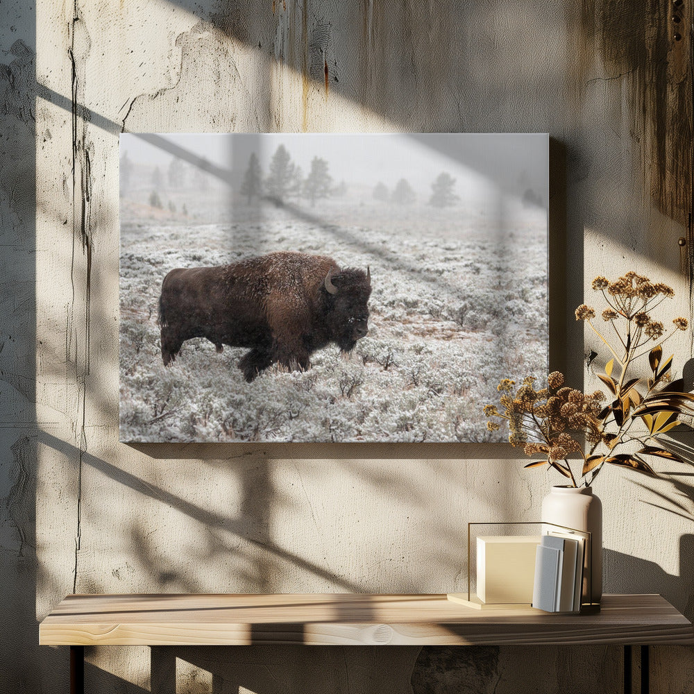 Late Fall Yellowstone | Canvas
