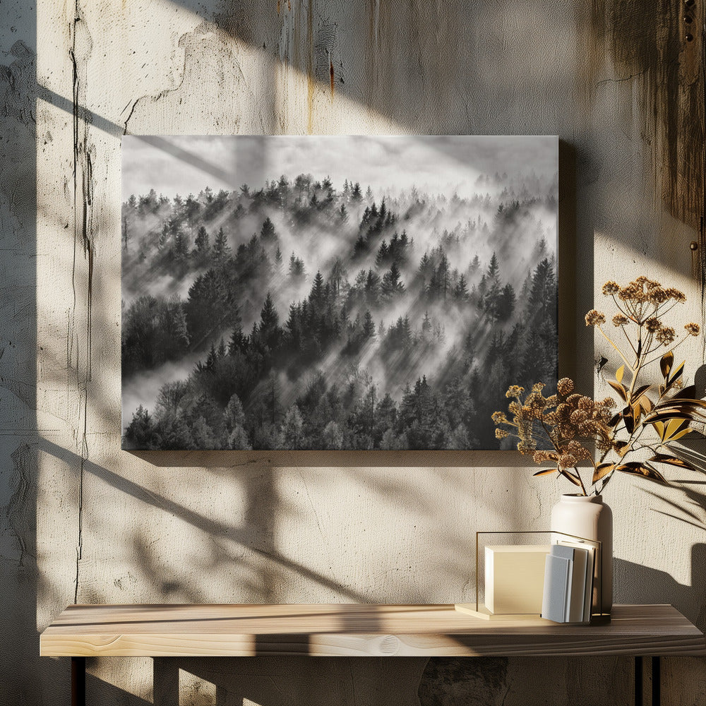 Sundance No.1 | Canvas