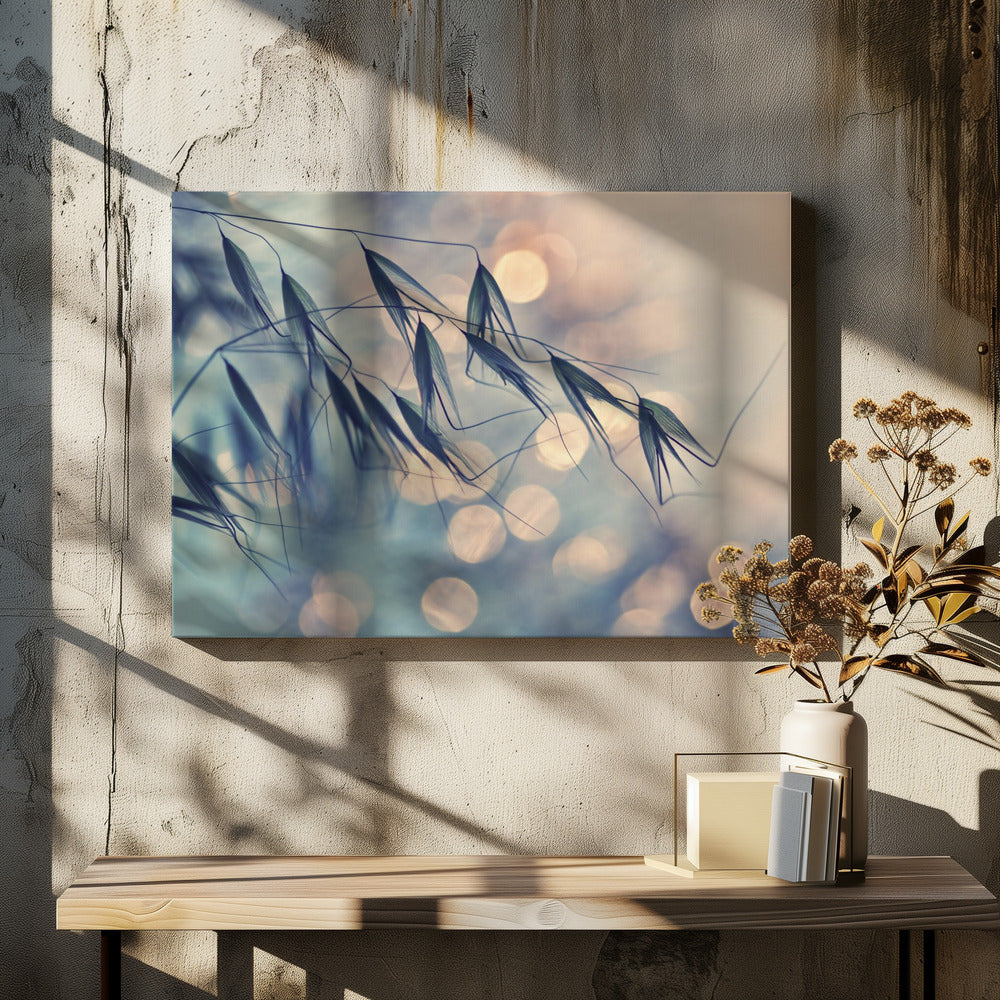 ...<<< | Canvas