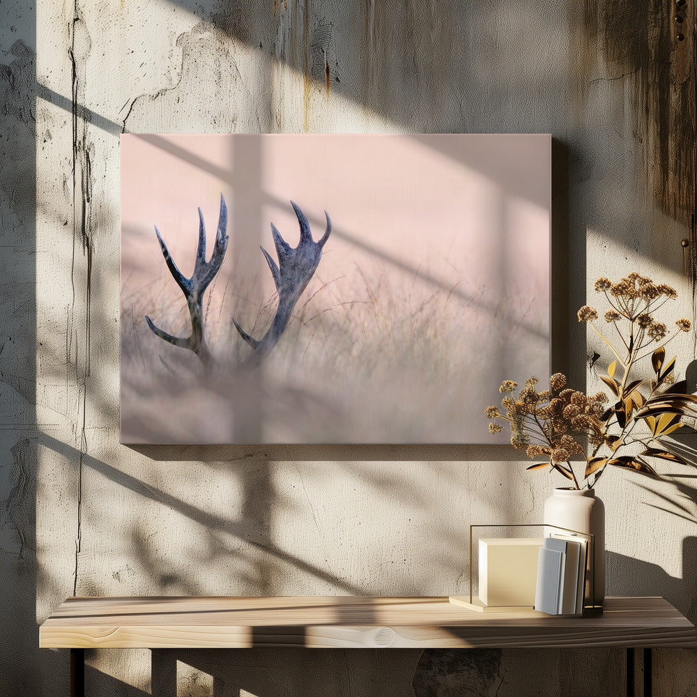 Hide & Seek ( Horn of Stag) | Canvas