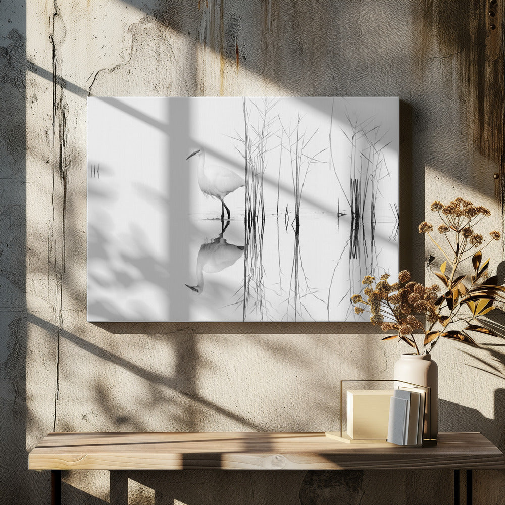 white | Canvas