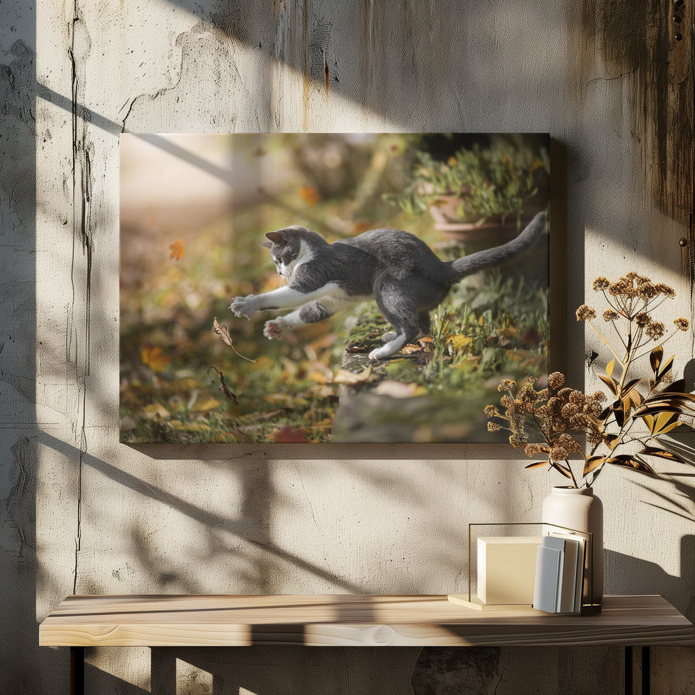Autumn Play | Canvas