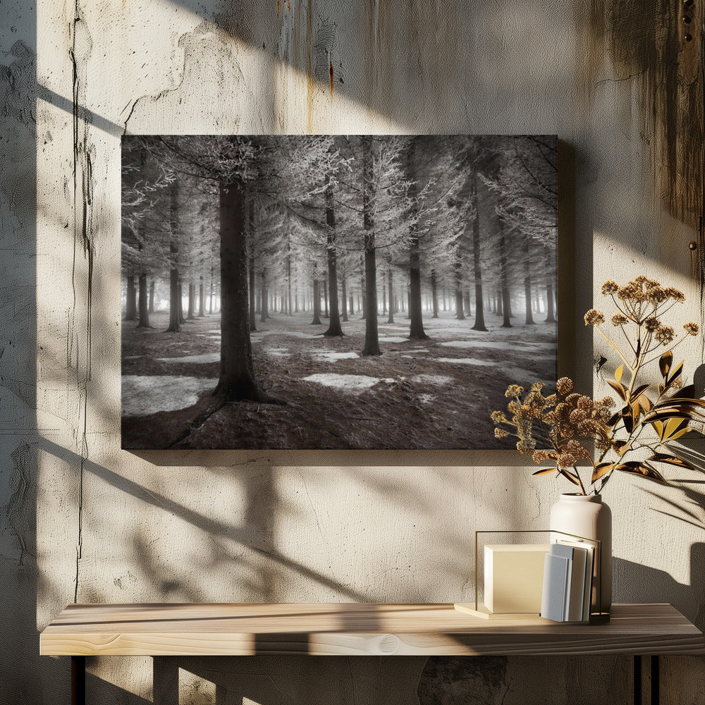 The onset of winter | Canvas
