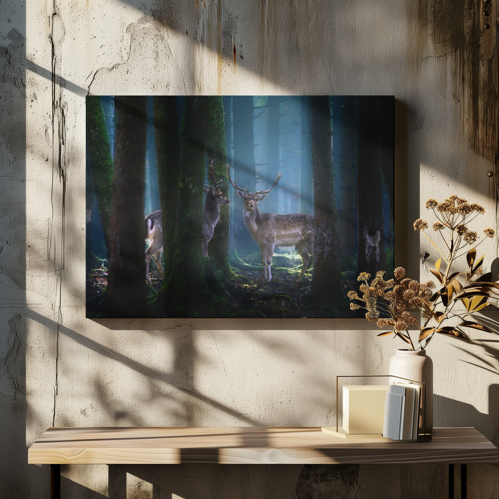 Deers | Canvas