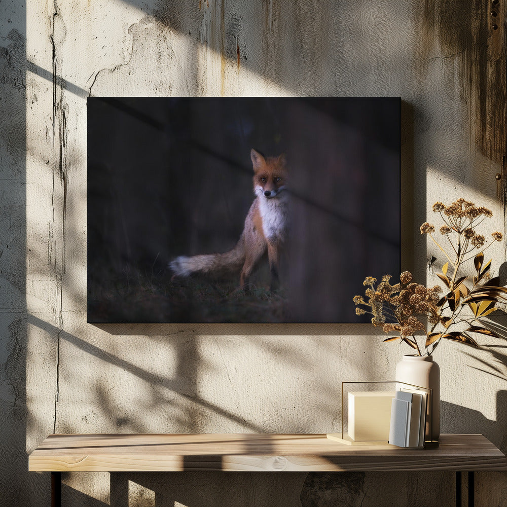 Glances | Canvas