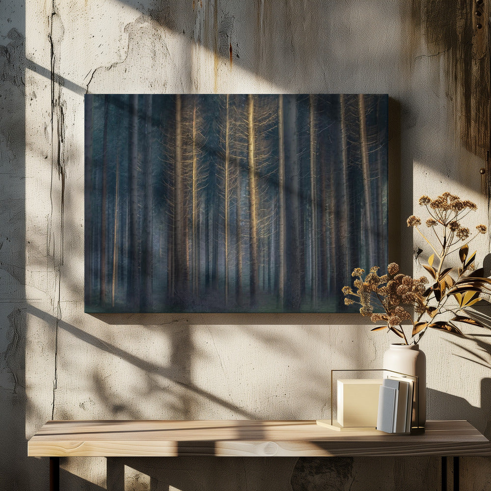 In the afternoon | Canvas