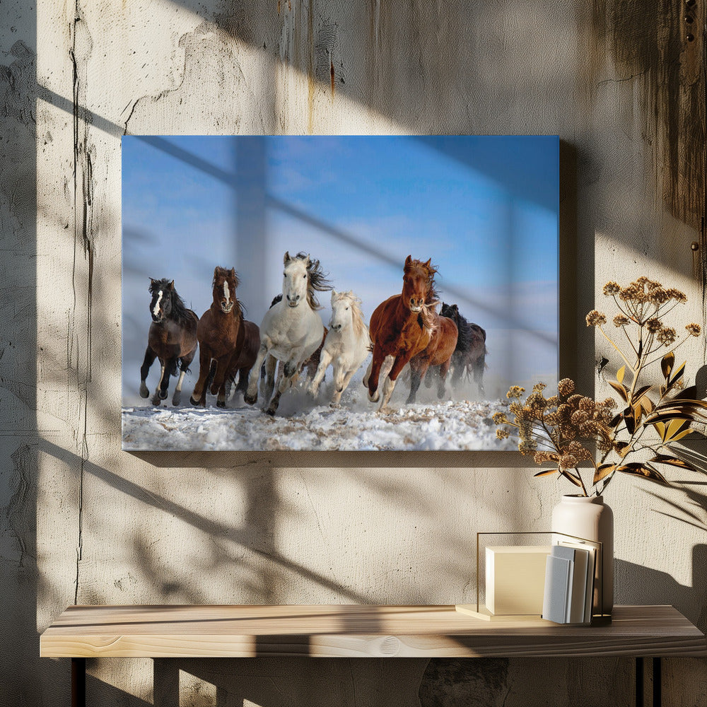 Mongolia Horses | Canvas