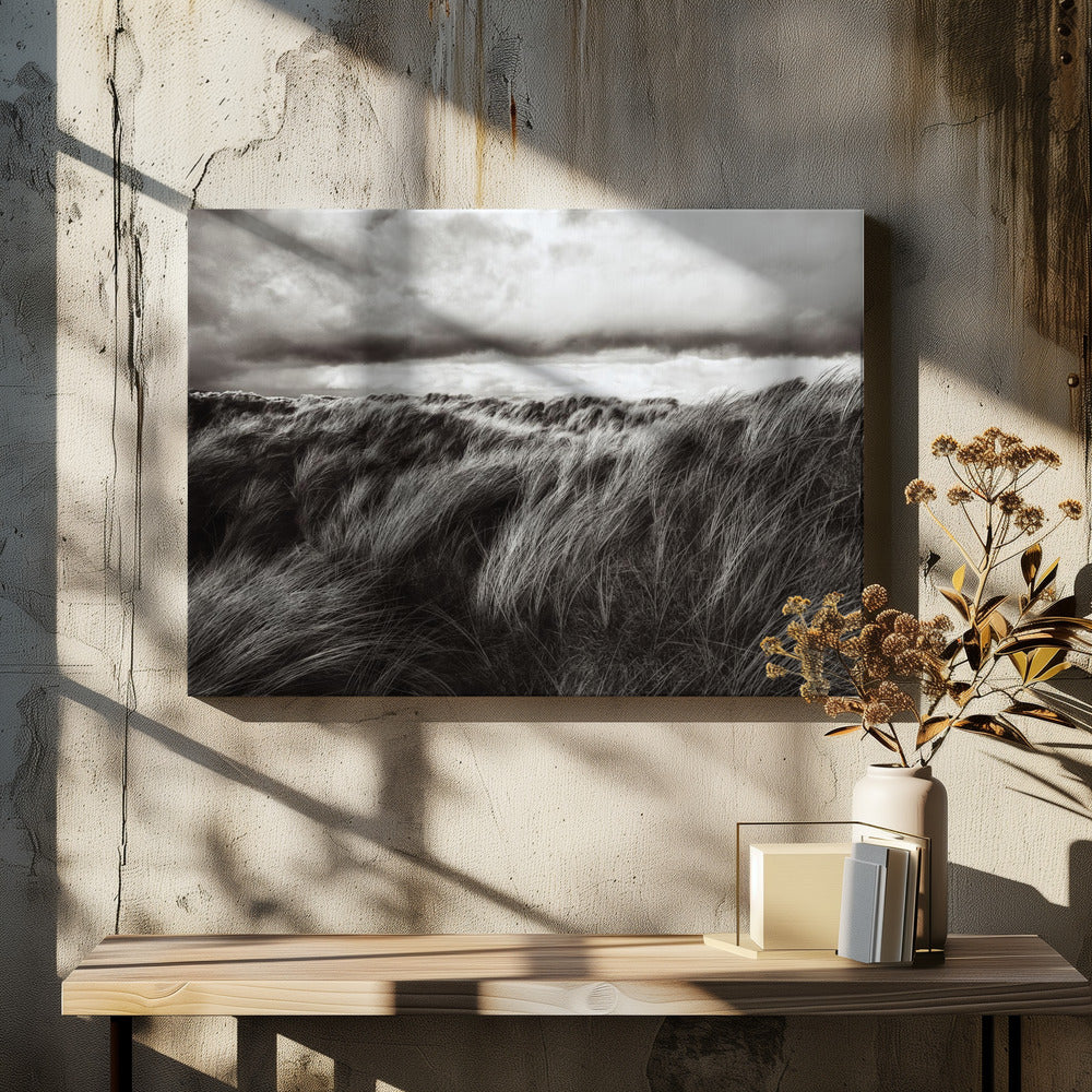 Dunes of grass | Canvas