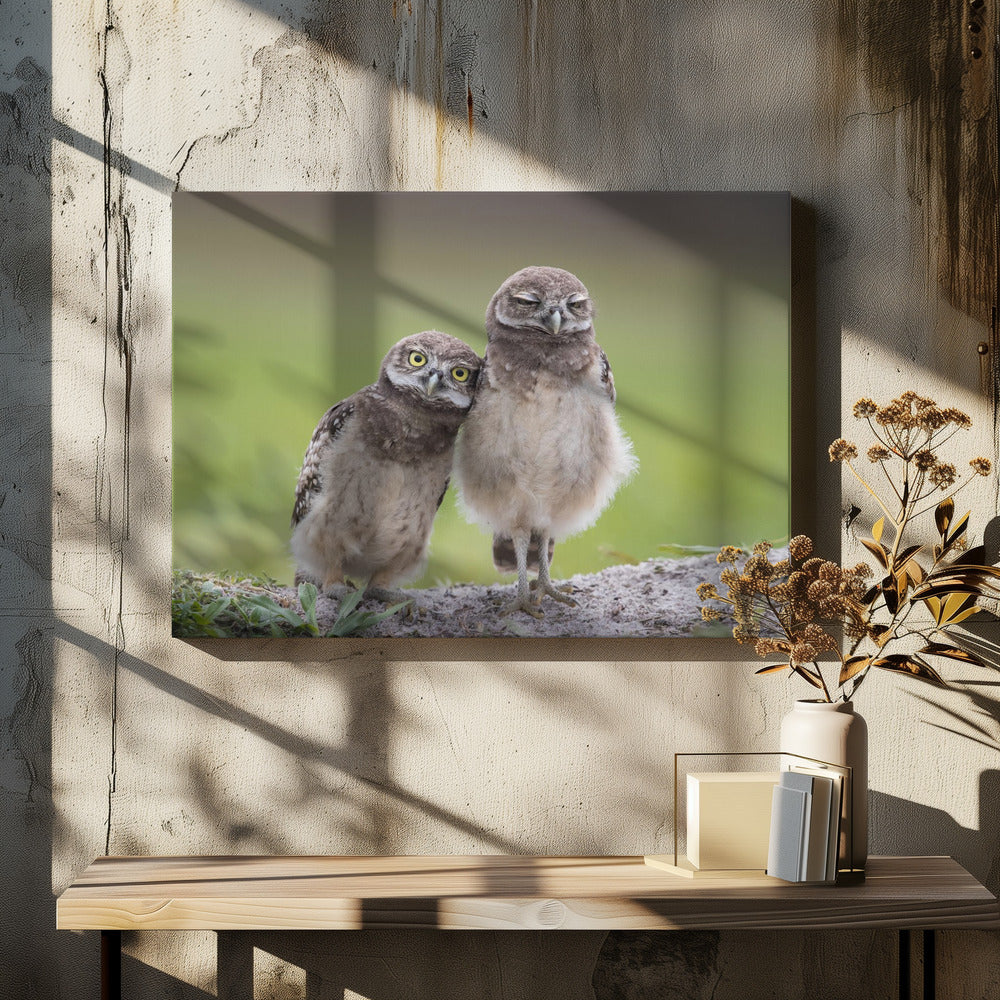 Friends | Canvas