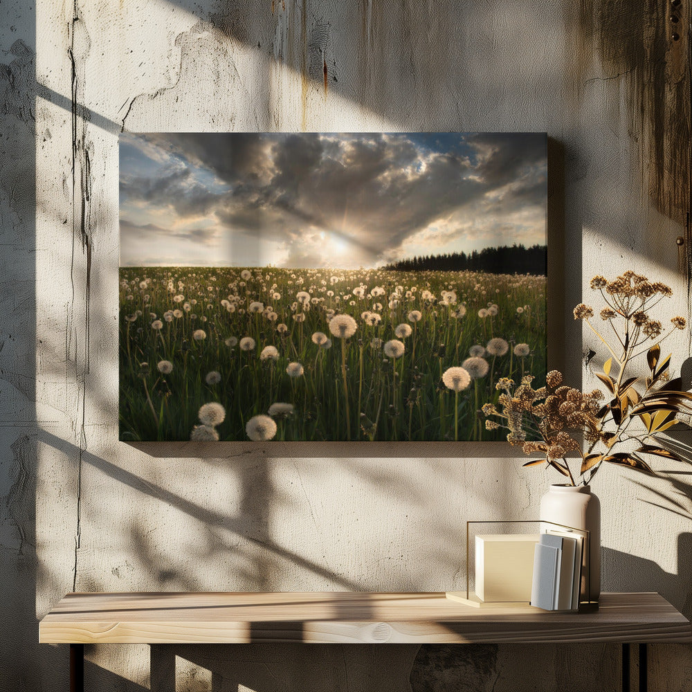 Lightbulbs | Canvas